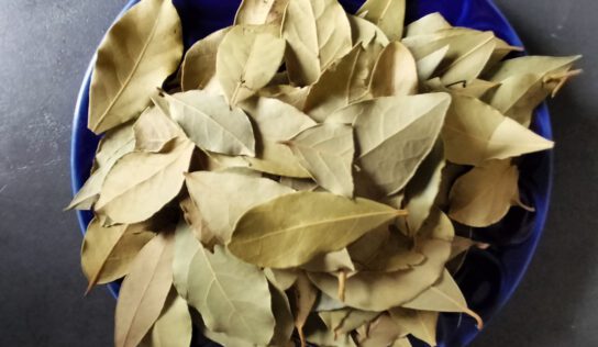 Лавровий лист — природний захист у вашій оселі