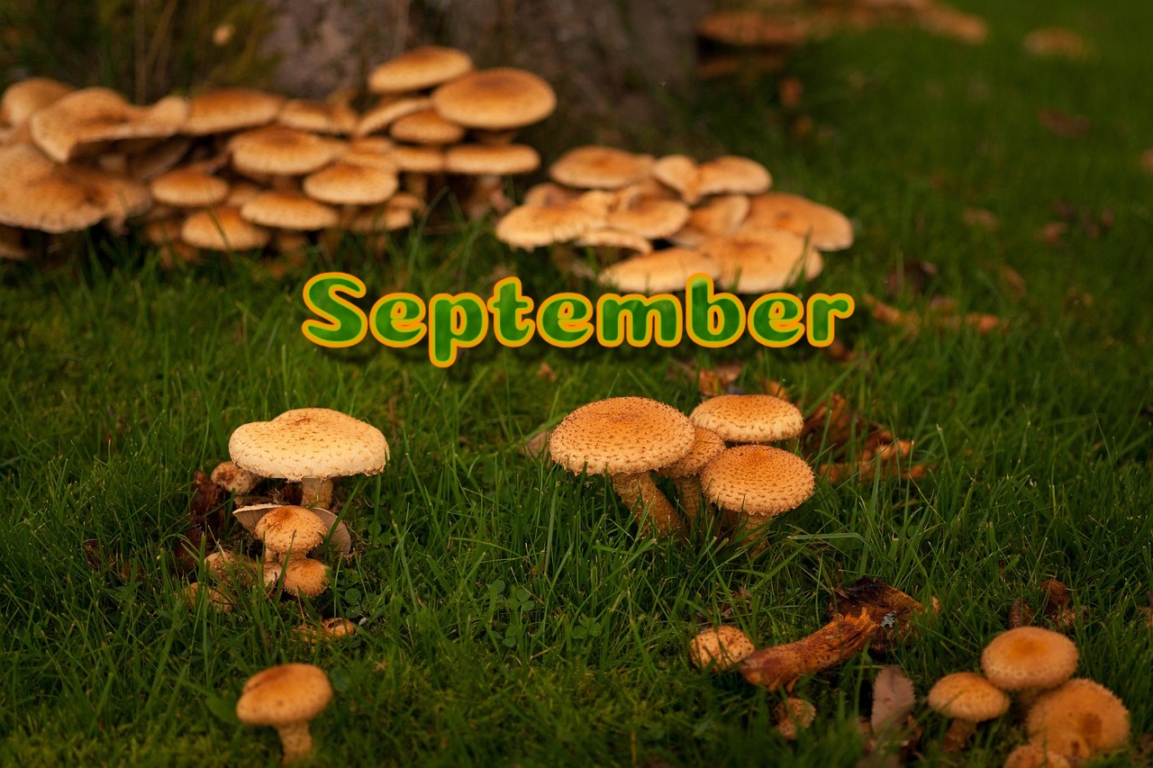 September
