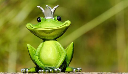 Принц-жабеня: німецька казка про внутрішню красу