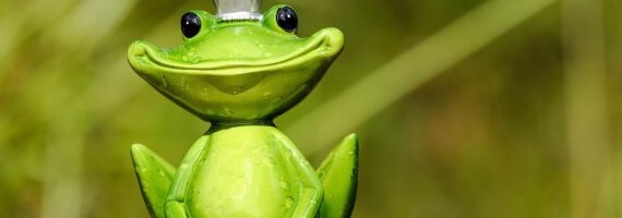 Принц-жабеня: німецька казка про внутрішню красу