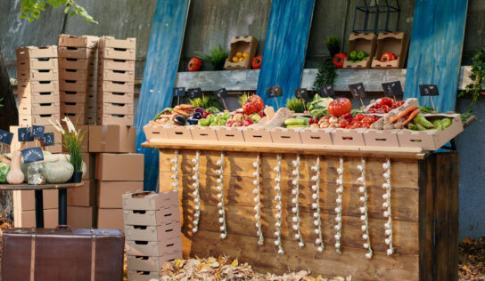 Leipziger Markttage: Mit Handwerk und Kultur in den Herbst 2025