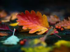 10 українських пісень, які найкраще звучать восени