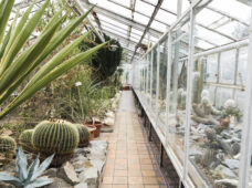 Террариум в Лейпцигском зоопарке вновь открыт с 27 сентября 2025 года