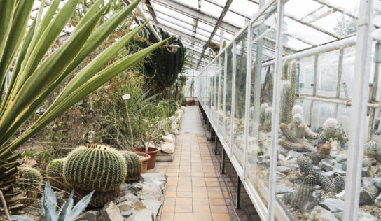 Террариум в Лейпцигском зоопарке вновь открыт с 27 сентября 2025 года