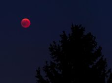 Vollmond wird im September zum Blutmond