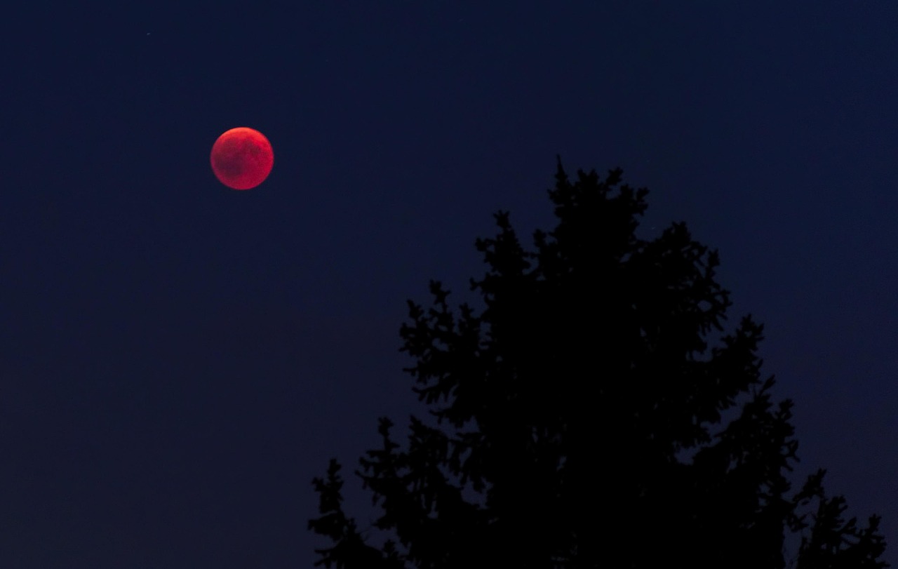 Blutmond