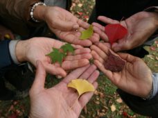 Міжкультурна підтримка: фінансування проєктів на 2026 рік