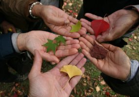 Міжкультурна підтримка: фінансування проєктів на 2026 рік