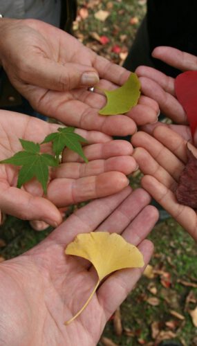 Міжкультурна підтримка: фінансування проєктів на 2026 рік