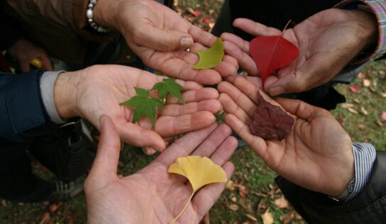 Міжкультурна підтримка: фінансування проєктів на 2026 рік