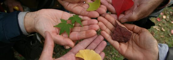 Міжкультурна підтримка: фінансування проєктів на 2026 рік