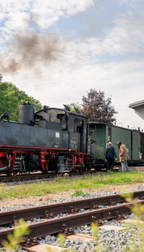 «Дикий Роберт» — вузькоколійна романтика Саксонії