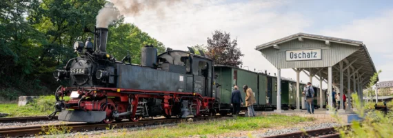 «Дикий Роберт» — вузькоколійна романтика Саксонії