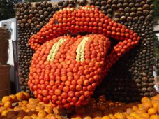 Осінь оздоблена гарбузами: найбільші виставки Саксонії