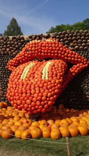 Осінь оздоблена гарбузами: найбільші виставки Саксонії