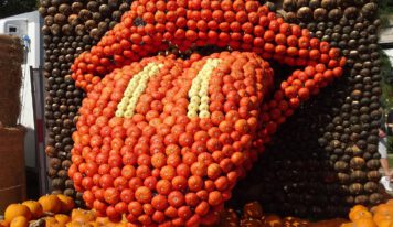 Осінь оздоблена гарбузами: найбільші виставки Саксонії