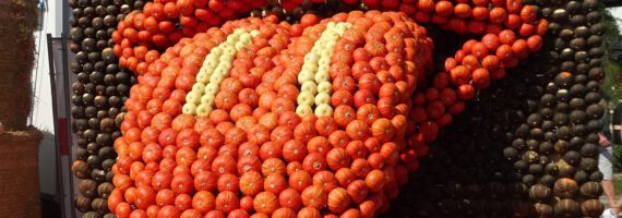 Осінь оздоблена гарбузами: найбільші виставки Саксонії