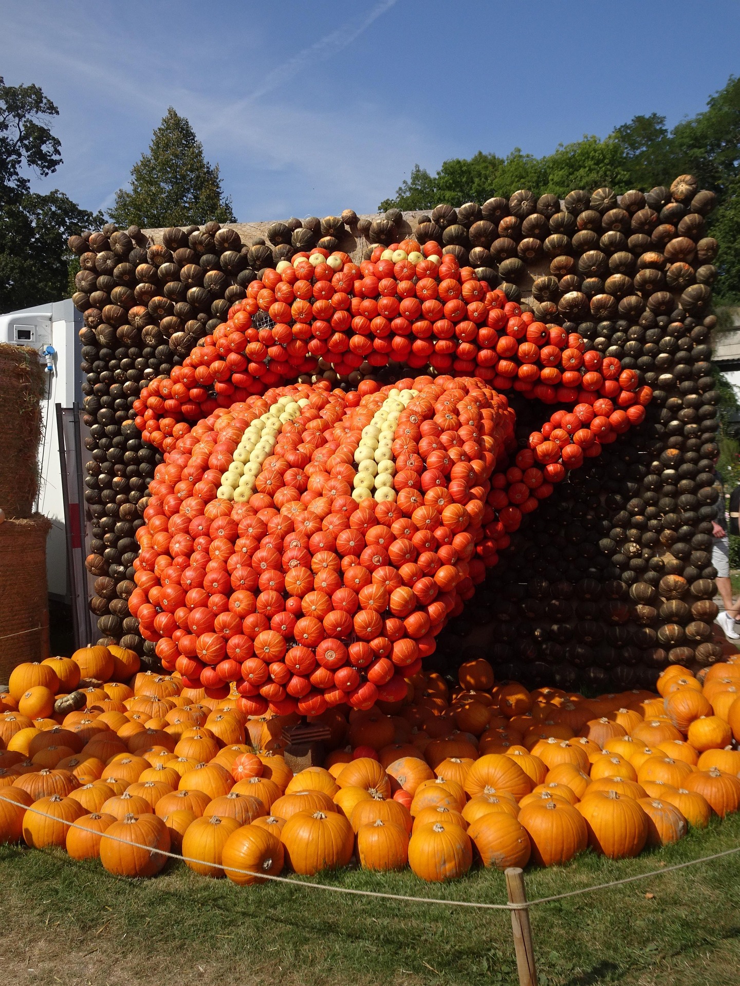 Осінь оздоблена гарбузами: найбільші виставки Саксонії