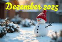 Что изменится в декабре 2025 года