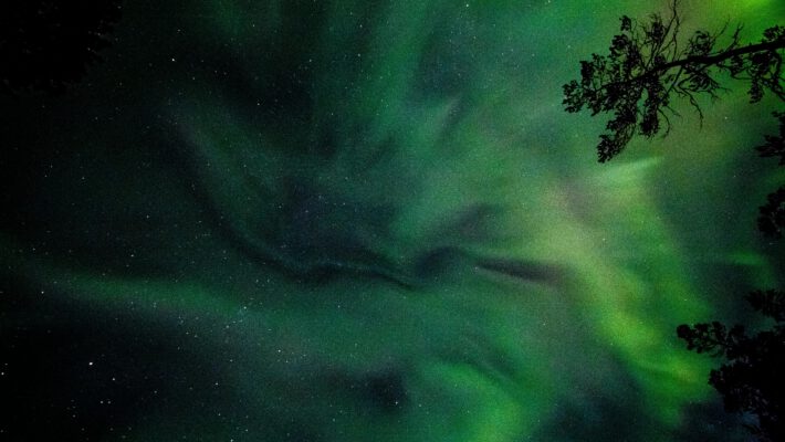 Hellgrüne Polarlichter am nächtlichen Sternenhimmel über schwarzen Baumsilhouetten während eines geomagnetischen Sturms
