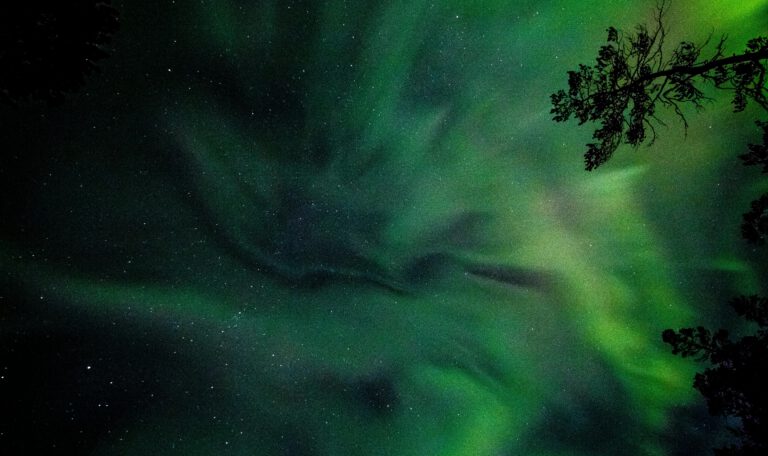 Hellgrüne Polarlichter am nächtlichen Sternenhimmel über schwarzen Baumsilhouetten während eines geomagnetischen Sturms