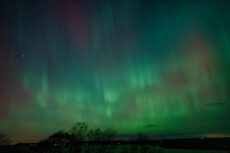 Сильное северное сияние (Aurora Borealis) уровня G3, вызванное геомагнитной бурей, над горизонтом с деревьями и озером. Пример того, как магнитная буря G3 делает полярное сияние видимым в средних широтах Европы.