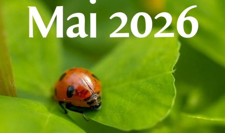 май 2026 зеленые листья и божья коровка