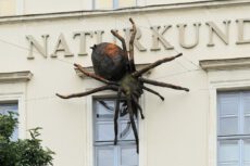 Naturkundemuseum
