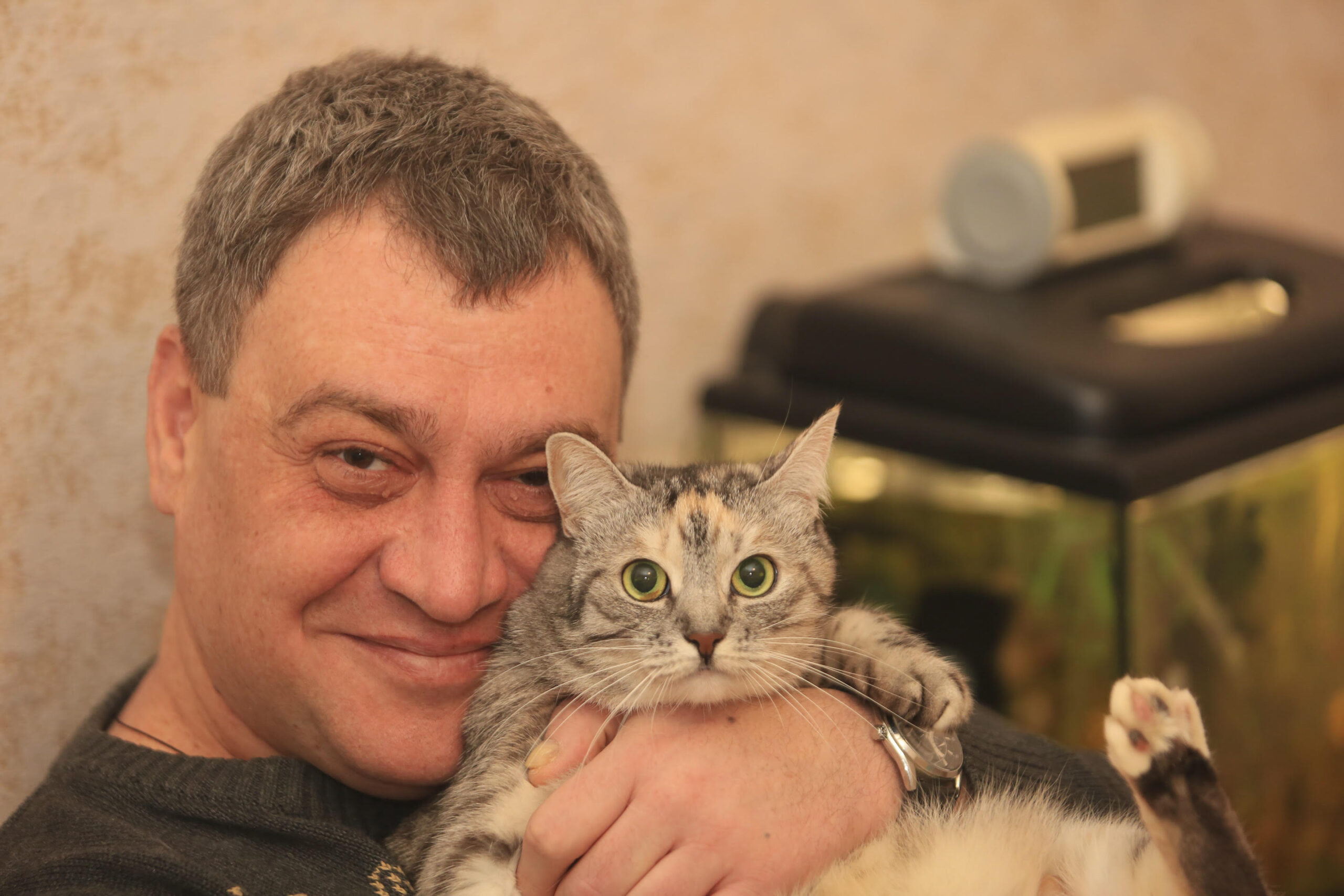Узнайте, как работает кошачья память и могут ли кошки забывать своих владельцев. Портретный снимок крупным планом, на котором запечатлен радостный мужчина средних лет в сером вязаном свитере, ласково прижимающий к щеке полосатую серую кошку. Кот с любопытством смотрит прямо в объектив, широко раскрыв зеленые глаза, а мужчина тепло улыбается. Рука мужчины с часами на запястье бережно держит питомца, чья лапка видна на переднем плане. На заднем плане размыто виднеются аквариум и другие предметы интерьера