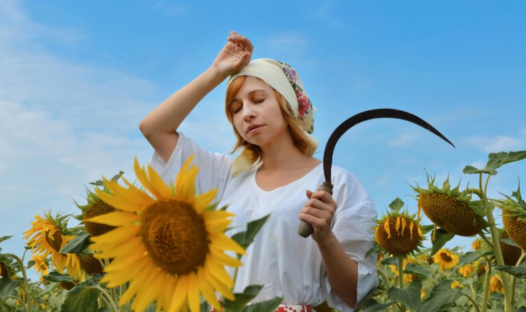 На фотографии изображена молодая женщина в традиционном украинском наряде, стоящая посреди поля подсолнухов. На ней белая вышитая блузка с красными и черными геометрическими узорами и белый платок с цветочным орнаментом, повязанный вокруг головы. Ее рыжие волосы слегка выглядывают из-под платка. В правой руке она держит серп, а левую руку прижимает ко лбу, как бы вытирая пот. Ее глаза закрыты, а выражение лица передает усталость и спокойствие. Яркие желтые подсолнухи окружают ее, а на заднем плане виднеется чистое голубое небо. Свет в кадре естественный, солнечный, что подчеркивает летнюю атмосферу. украинцы в Германии после 2027 года