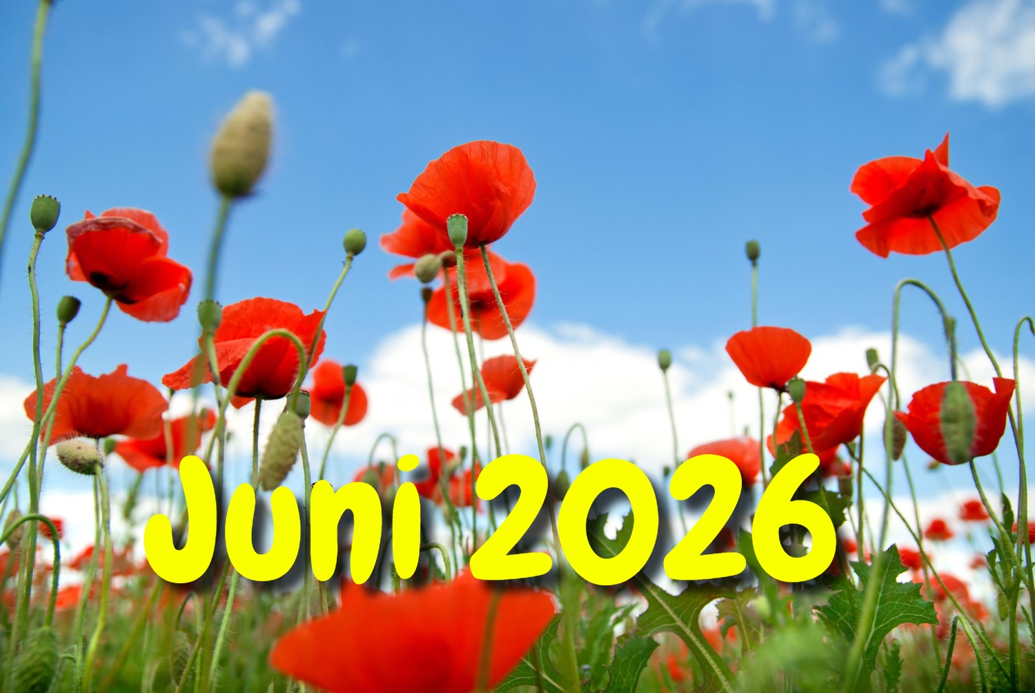 Juni Juni