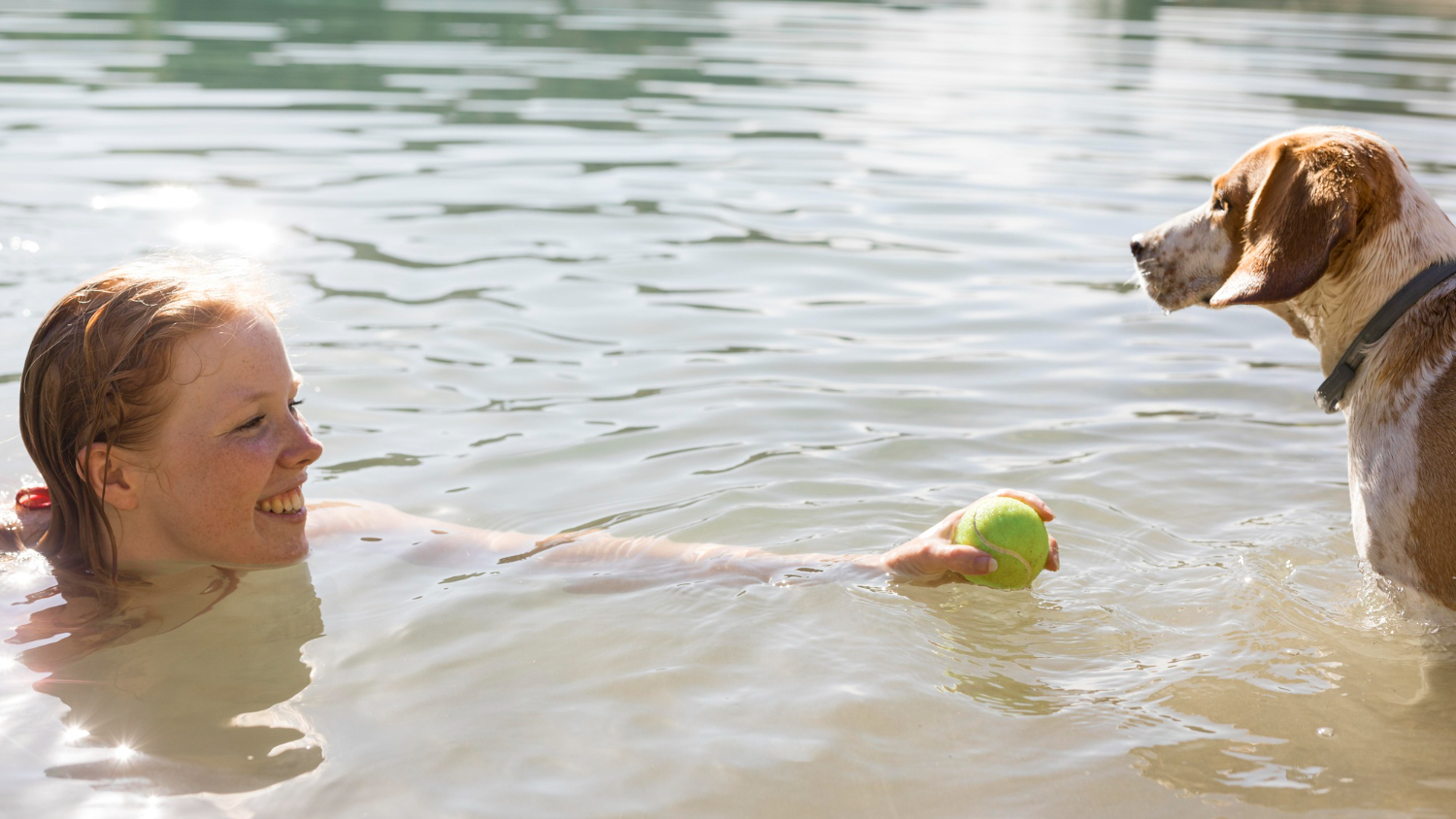 Wasserqualität