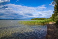 Отличное качество воды в озёрах Лейпцига. Пейзаж с широким озером, чистой прозрачной водой и песчаным дном на мелководье. Справа — песчаный берег и деревья, в воде растет полоса зеленого камыша, а вдали плавает одинокий белый лебедь. На заднем плане виден лесной массив. Небо синее, с контрастными белыми и грозовыми серыми облаками.