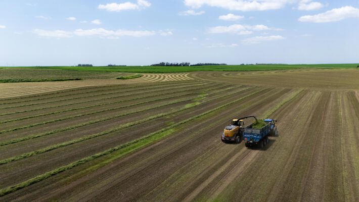 Future Harvest. Вид с воздуха на широкое поле с параллельными полосами скошенной травы в ясный день. Желтый кормоуборочный комбайн перегружает свежескошенную зеленую массу в прицеп синего трактора, работающего в паре. На горизонте видны зеленые луга, полоса деревьев и небо с легкими облаками.
