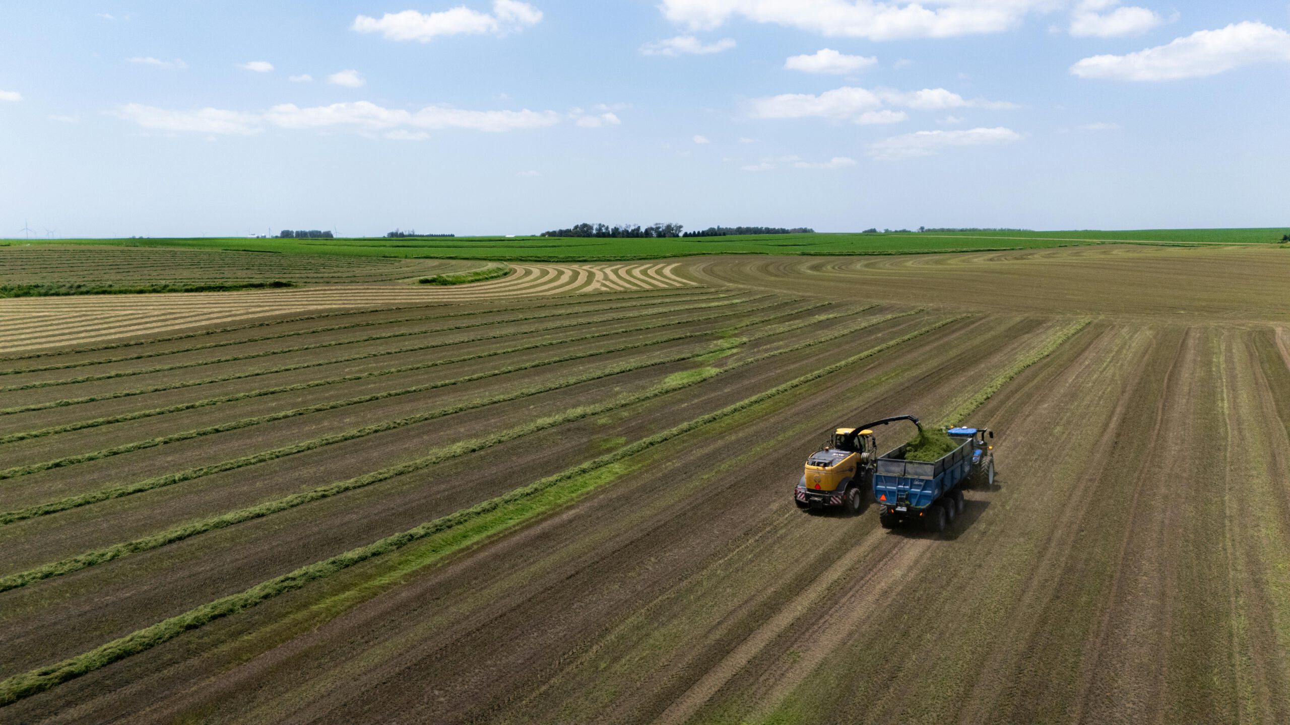 Future Harvest. Вид с воздуха на широкое поле с параллельными полосами скошенной травы в ясный день. Желтый кормоуборочный комбайн перегружает свежескошенную зеленую массу в прицеп синего трактора, работающего в паре. На горизонте видны зеленые луга, полоса деревьев и небо с легкими облаками.