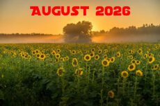 August