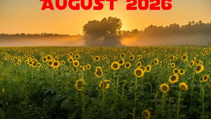 August