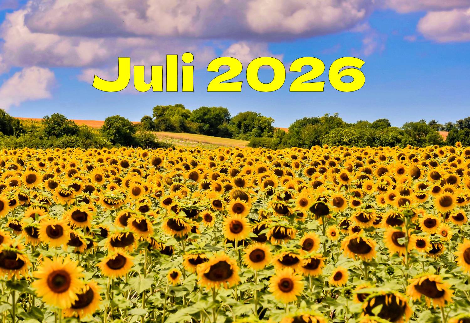 Juli Juli